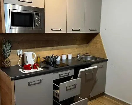 Apartment Silesia Park